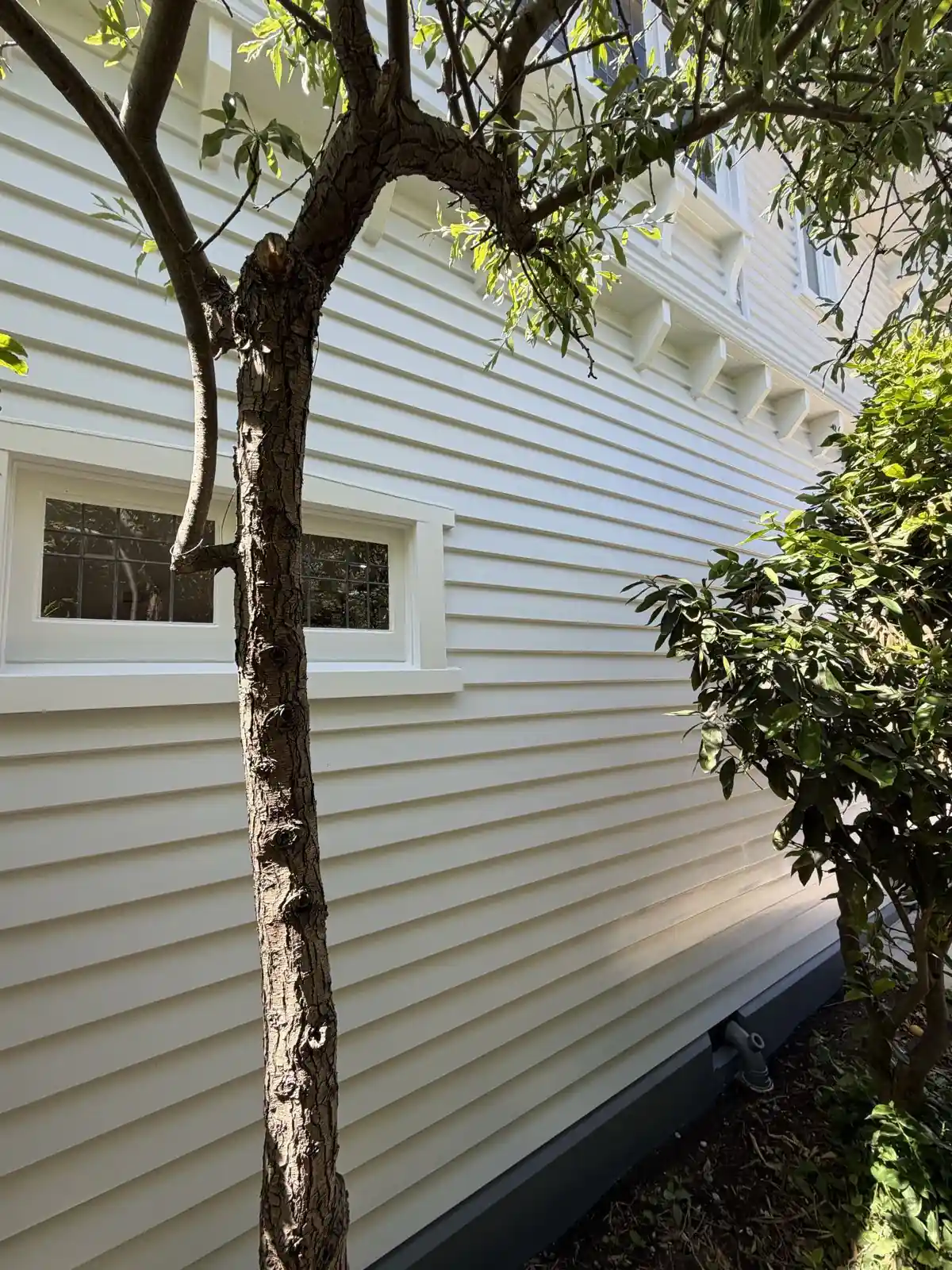 Side wall and a small window seen through the garden trees